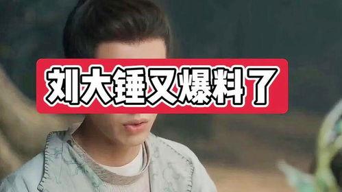 刘大锤最新爆料事件,揭秘娱乐圈最新惊天事件  第2张