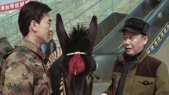 人在驴途在线观看,一场别开生面的在线观影之旅  第2张