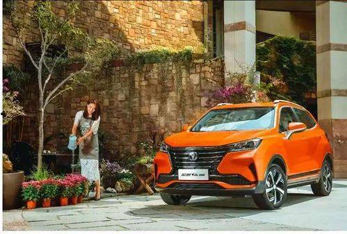 长安视频全集在线观看,穿越时空的视觉盛宴  第2张