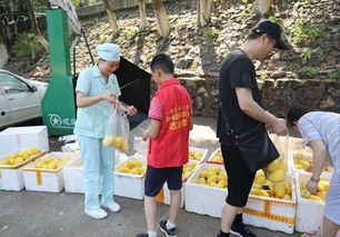 娱乐吃瓜酱贫困户,揭秘贫困户背后的真实故事  第2张